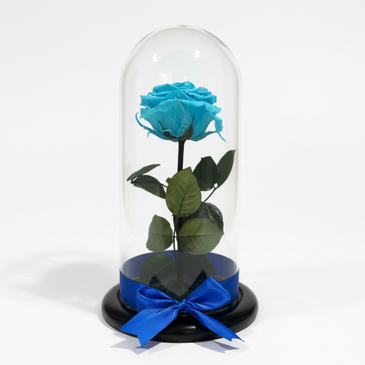 Rosa azul en cúpula mejorada