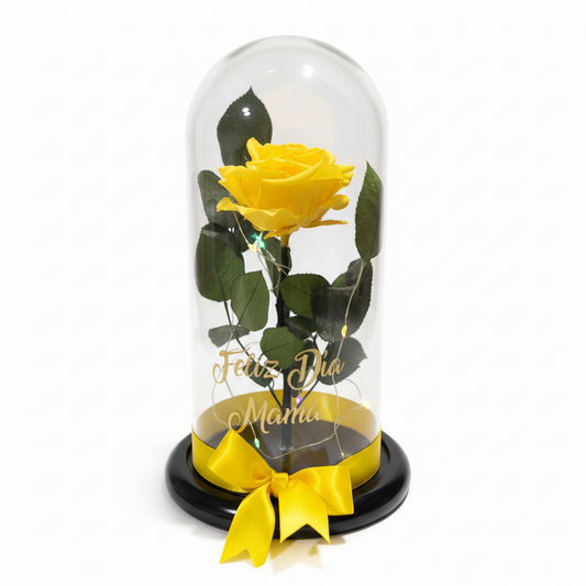 Rosa en cúpula mejorada